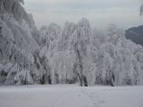 Снимки от връх Бузлуджа