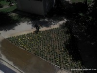�� �� ������� �� ����������, ������ �� �������� �� �������� ����� ���� 