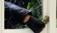 Полицията разкри непълнолетен, обрал къща в Дъбово