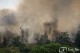 Пожарникари и доброволци гасят пожар в борова гора край Павел баня