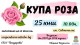 Предстои 17-тото издание на турнира “Купа Роза“ в Казанлък 