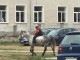 На училище с кон