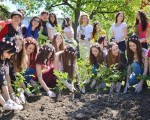 Кандидатките за „Царица Роза 2017“ засадиха рози