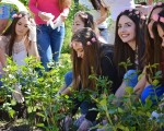 Кандидатките за „Царица Роза 2017“ засадиха рози