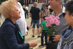 Румяна Друмева с рози за благодарност на 24 май / Новини от Казанлък