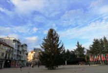 На 13 декември ще грейне коледната елха в Казанлък / Новини от Казанлък