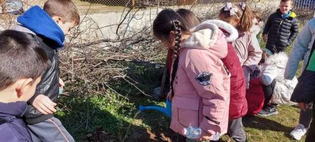 Малките природолюбители от ОУ „Св. Паисий Хилендарски“ засадиха люлякови дръвчета