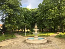 Откриха новия фонтан в село Розово 