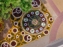 Над 7 200 растения красят новият цветен часовник, а дизайна му е дело на Лора Гидимаркова / Новини от Казанлък