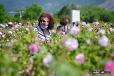 Земеделският министър идва на среща с розопроизводителите утре в Казанлък