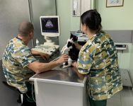 Ултразвуков ехограф допълва апаратурата на ветеринарна амбулатория “ЗооВет“