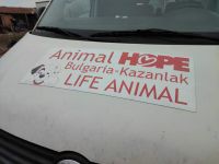 С грижа към бездомните животни  / Новини от Казанлък