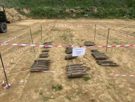 85 броя невзривени боеприпаси, открити между селата Шейново и Ясеново бяха обезвредени
