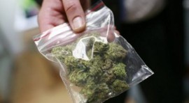 При две домови претърсвания казанлъшките полицаи заловиха притежатели на марихуана / Новини от Казанлък