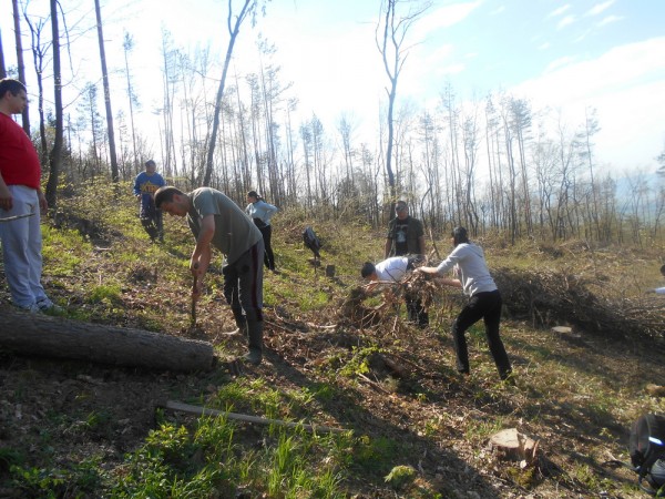 Над 400 фиданки засадиха казанлъшките социалисти / Новини от Казанлък