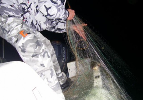Риба от бракониерски мрежи бе дарена на център за диви животни / Новини от Казанлък