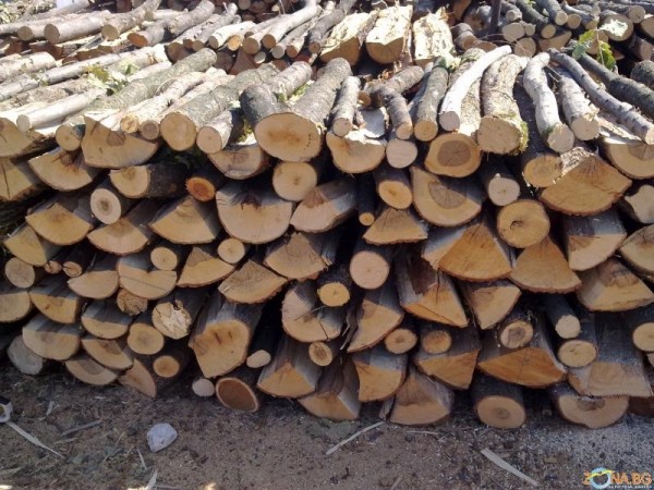  Горски и полицаи извършиха проверка за незаконно придобити дърва / Новини от Казанлък