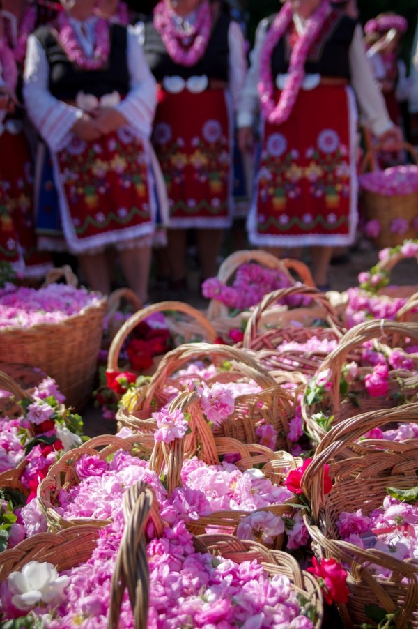 Фестивал на розата ’2016 вече очаква туристи и приятели / Новини от Казанлък