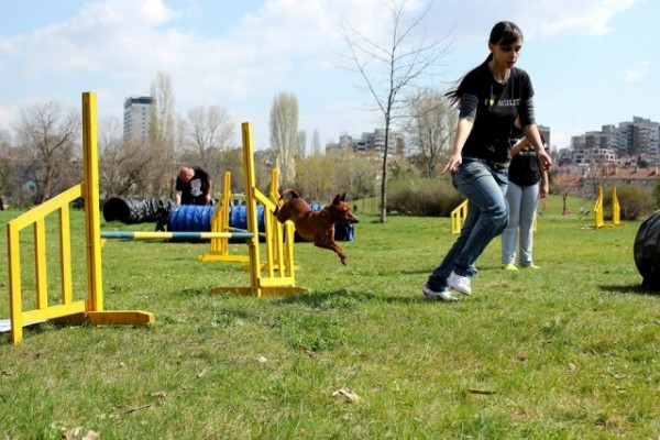  Петиция за изграждане на кучешки парк на територията на Казанлък / Новини от Казанлък