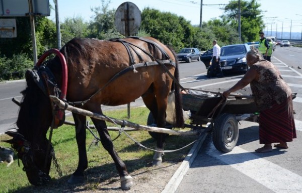 Двама са ранени след като кон се блъсна в автомобил / Новини от Казанлък