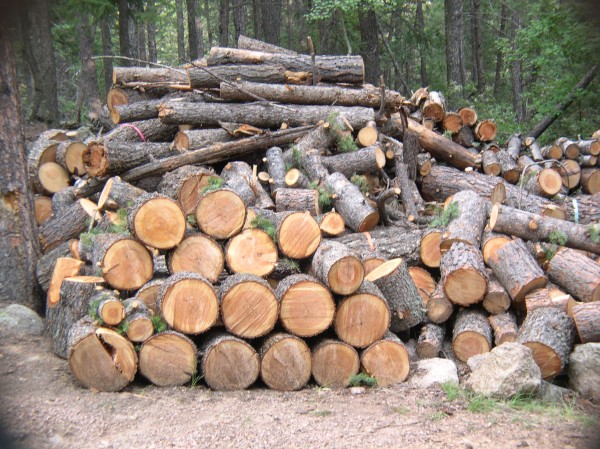 Откриха дърва без маркировка в Габарево / Новини от Казанлък