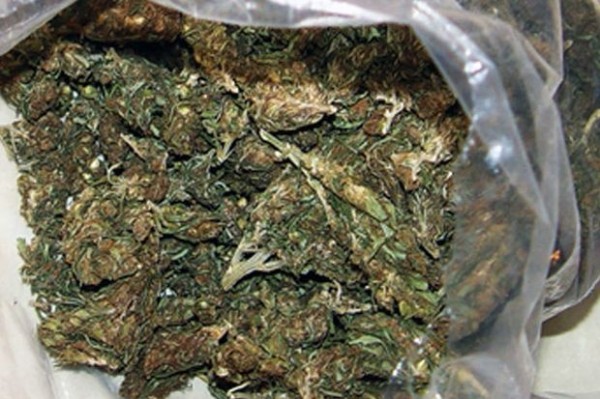 При претърсване откриха марихуана в казанлъшки апартамент / Новини от Казанлък