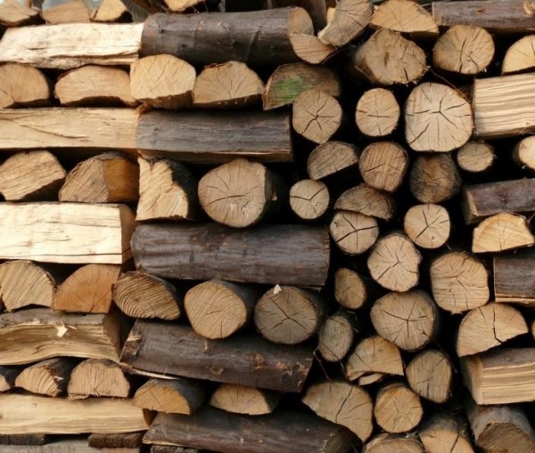 Жена е в ареста за незаконно добити дърва   / Новини от Казанлък