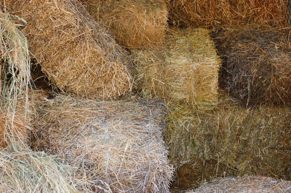 Откраднаха 200 бали сено в Гурково / Новини от Казанлък
