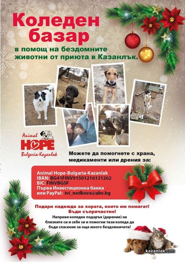 Коледен базар за бездомните животни в Казанлък стартира от събота на площада / Новини от Казанлък