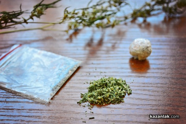 Откриха марихуана в дома на казанлъчанин / Новини от Казанлък