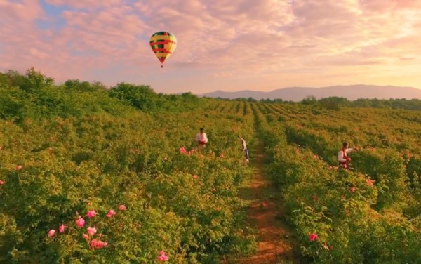 Полет с балони, конна езда и още атракции в Празника на розата 2017 / Новини от Казанлък