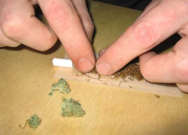 Спипаха двама софиянци с марихуана в района на язовира / Новини от Казанлък