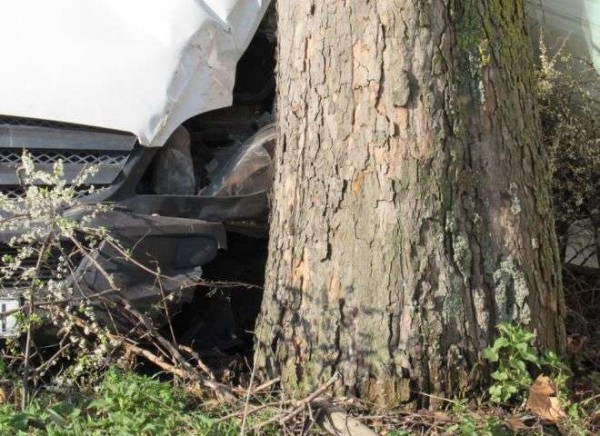 Пийнала шофьорка се вряза дърво, 17-годишен е с опасност за живота / Новини от Казанлък