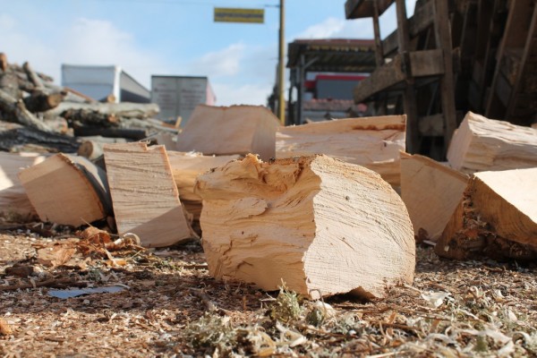 Бус с близо 2 кубика незаконни дърва за огрев вкара мъж в ареста / Новини от Казанлък