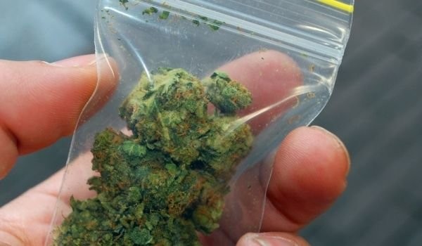 Малко над 40 гр. марихуана намериха в казанлъчанин / Новини от Казанлък