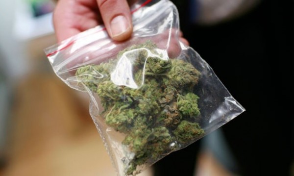 Малко под 360 грама марихуана са иззети в Казанлък / Новини от Казанлък