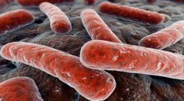 Потвърден случай на Туберкулоза през изминалата седмица / Новини от Казанлък