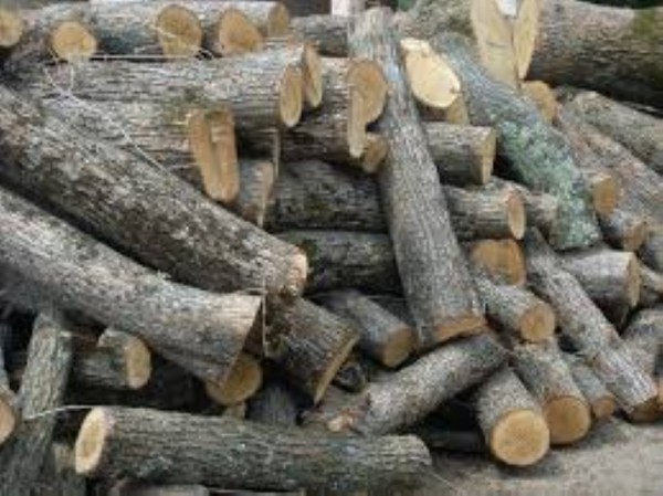 Още задържани за незаконни дърва по домовете / Новини от Казанлък