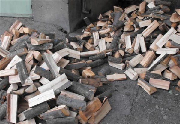 Поредно бързо производство за незаконни дърва / Новини от Казанлък