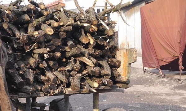 Досъдебно производство за 16 кубика контрабандни дърва / Новини от Казанлък