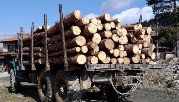 Задържаха шофьора на ЗИЛ, превозващ незаконни дърва / Новини от Казанлък