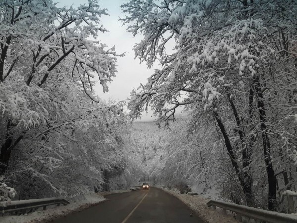 Всички пътища са проходими, но шофьорите да са подготвени за зимни условия / Новини от Казанлък