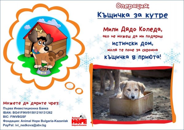 Да помогнем на бездомните животни в операция “Къщичка за кутре“ / Новини от Казанлък