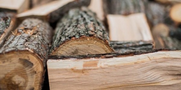 Намериха 2 кубика дърва за огрев без контролна марка / Новини от Казанлък