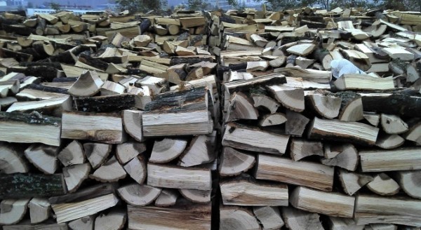 Над 40 кубика незаконни дърва за огрев откриха при проверка / Новини от Казанлък