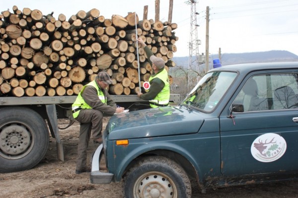 Съвместна акция на горски и полиция разкри над 40 кубика незаконна дървесина / Новини от Казанлък
