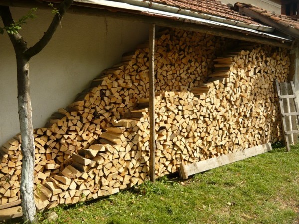 Над 7 кубика дърва без марка откриха в къща в село Турия / Новини от Казанлък