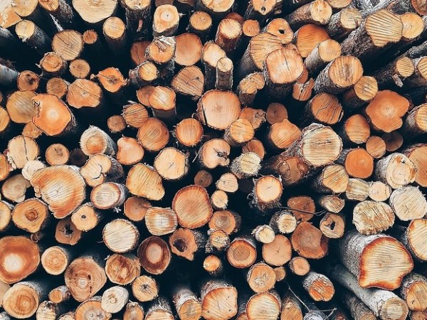 Намериха незаконни дърва в Елхово / Новини от Казанлък
