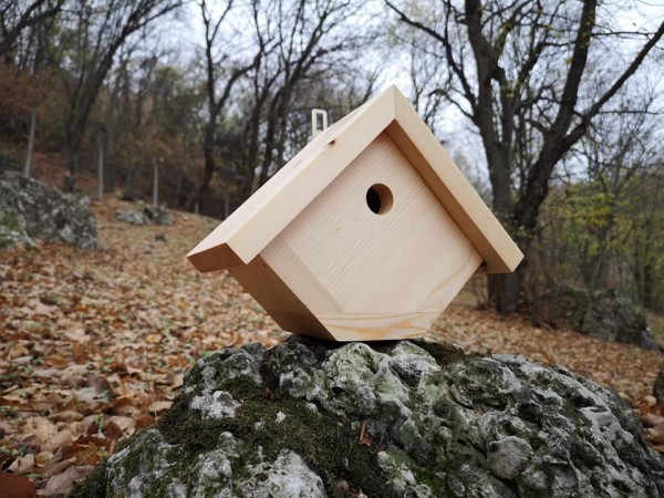 6 детски градини и 4 училища ще се сдобият с къщички за птици / Новини от Казанлък