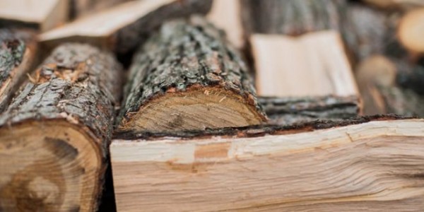 Горски и полицаи проверяваха за незаконни дърва / Новини от Казанлък